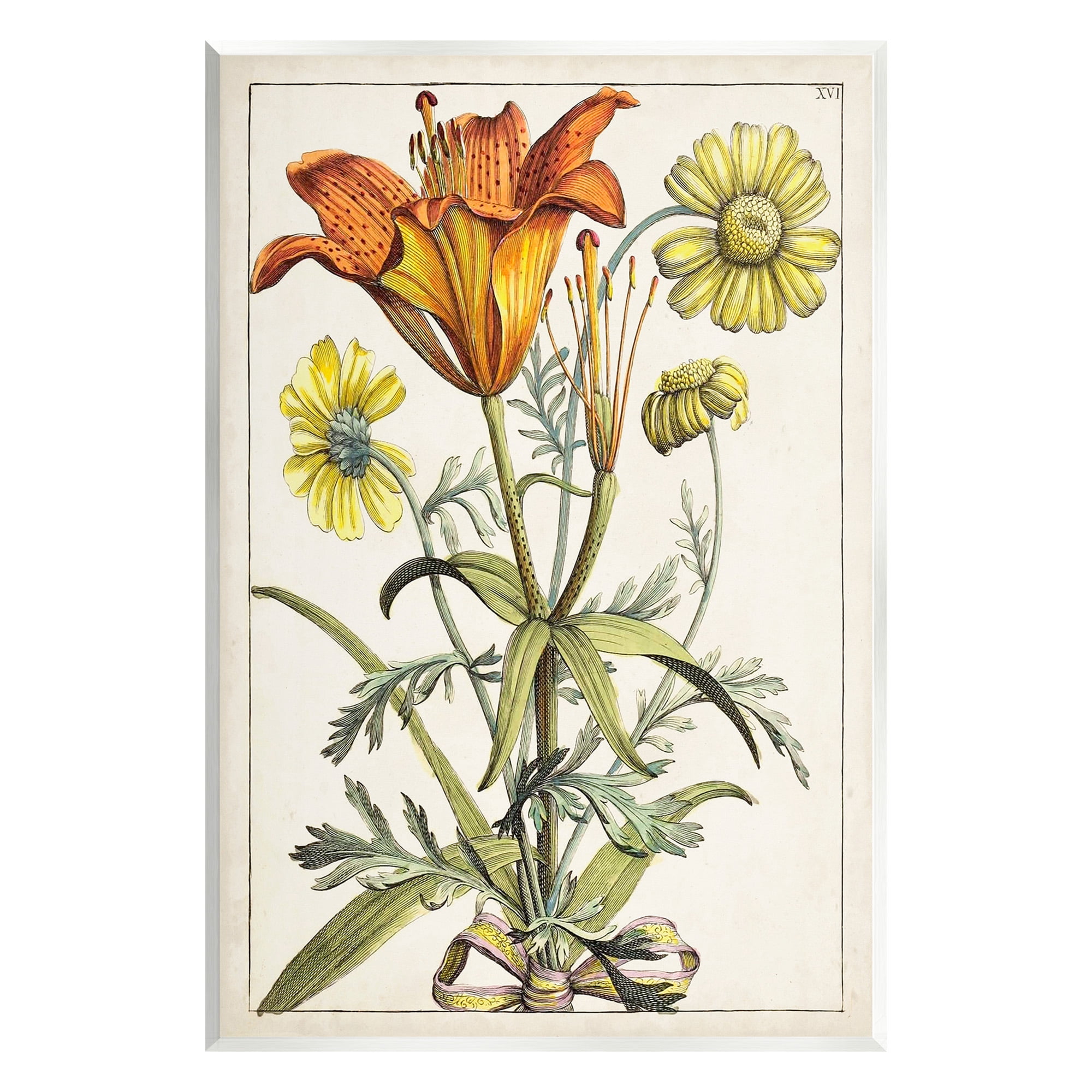 Stupell Industries Flowers Latin Study Botanical & Floral Painting Unframed Art Print Wall Art, 13 x 19