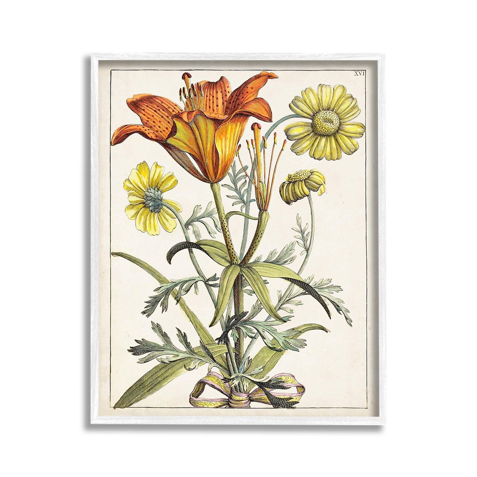 Stupell Industries Flowers Latin Study Botanical & Floral Painting White Framed Art Print Wall Art, 11 x 14