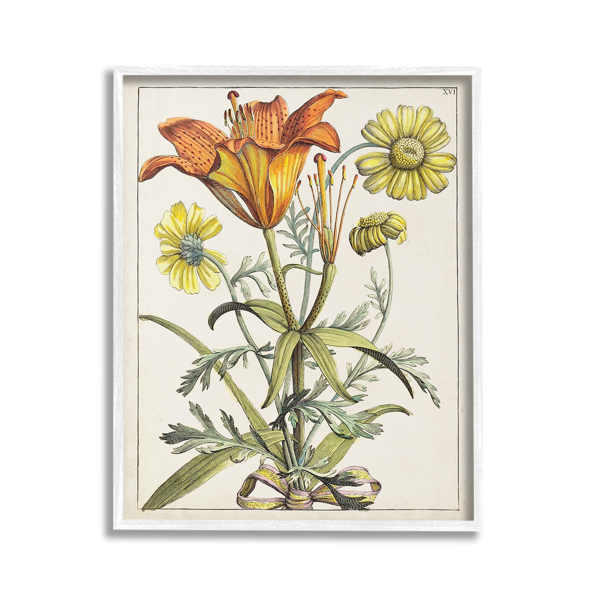 Stupell Industries Flowers Latin Study Botanical & Floral Painting White Framed Art Print Wall Art, 24 x 30
