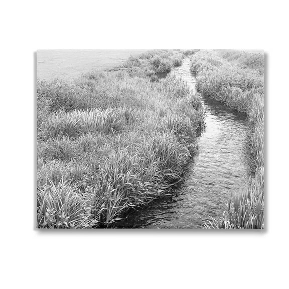 Stupell Industries Flowing Beach Canal Landscape Photography Gallery Wrapped Canvas Art Print Wall Art, 20 x 16