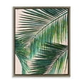 thumbnail image 1 of Stupell Industries Flowing Palm Fronds Botanical & Floral Painting Brown Floater Framed Canvas Art Print Wall Art, 17 x 21, 1 of 10