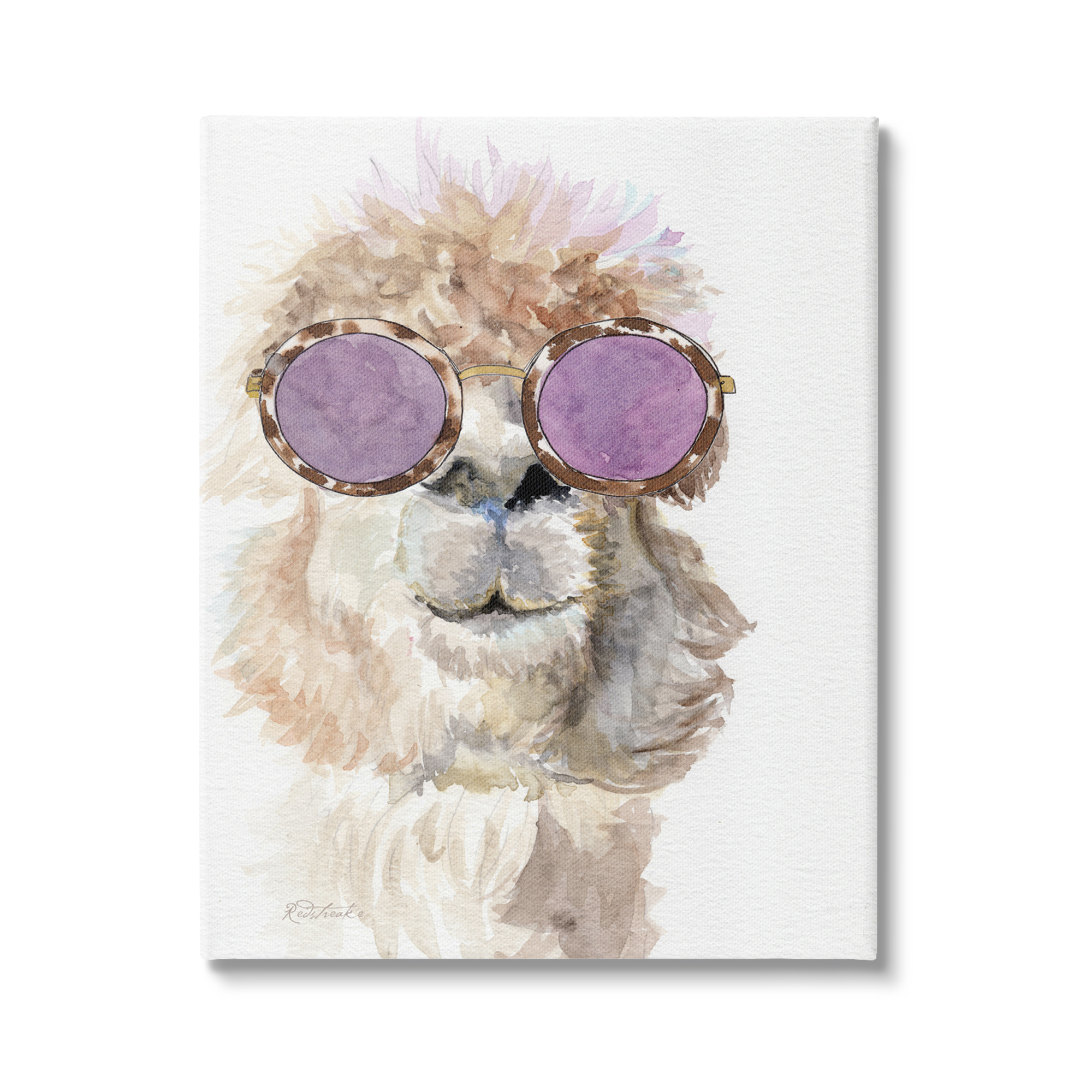 Stupell Industries Fluffy Alpaca Fun Purple Glam Sunglasses Portrait Painting Gallery Wrapped Canvas Print Wall Art, Design by Jennifer Redstreake
