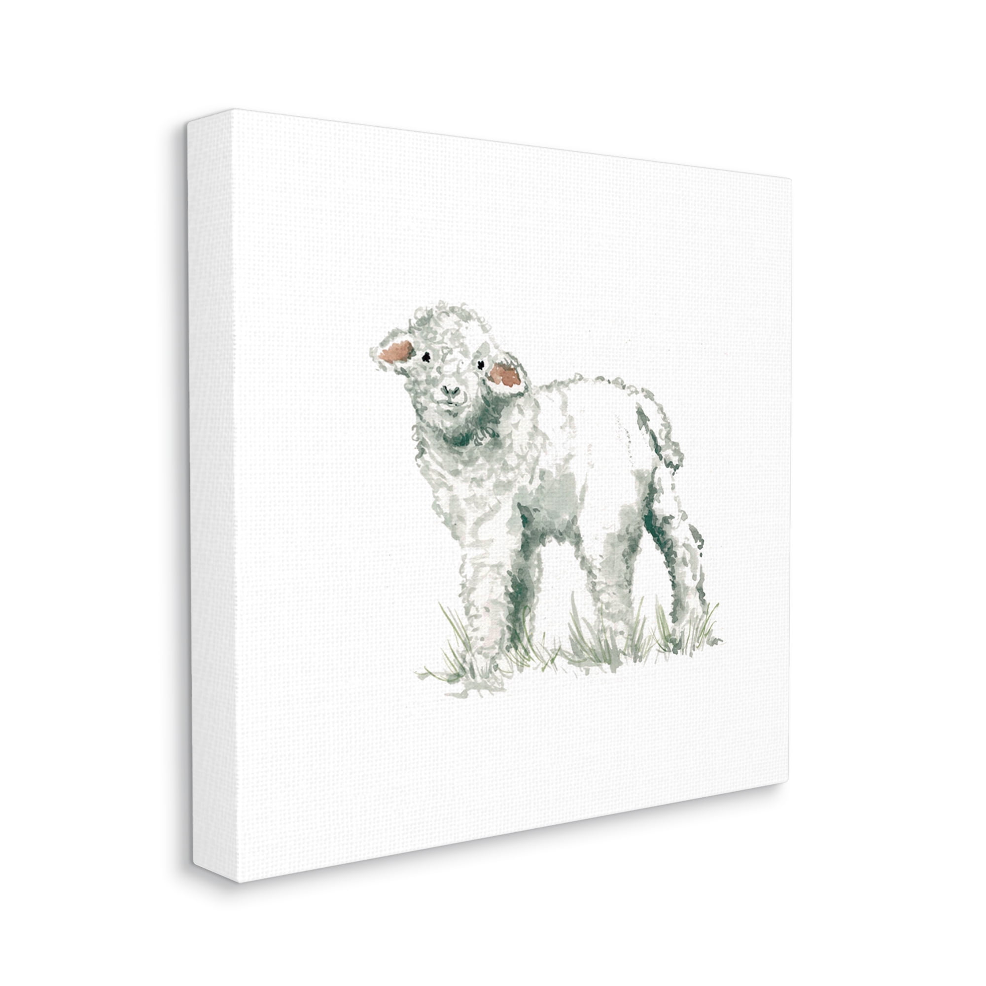 Stupell Industries Fluffy Baby Sheep Minimal Farm Animal over White Modern Painting Gallery-Wrapped Canvas Print Wall Art, 30 x 30, Design by Carol Robinson