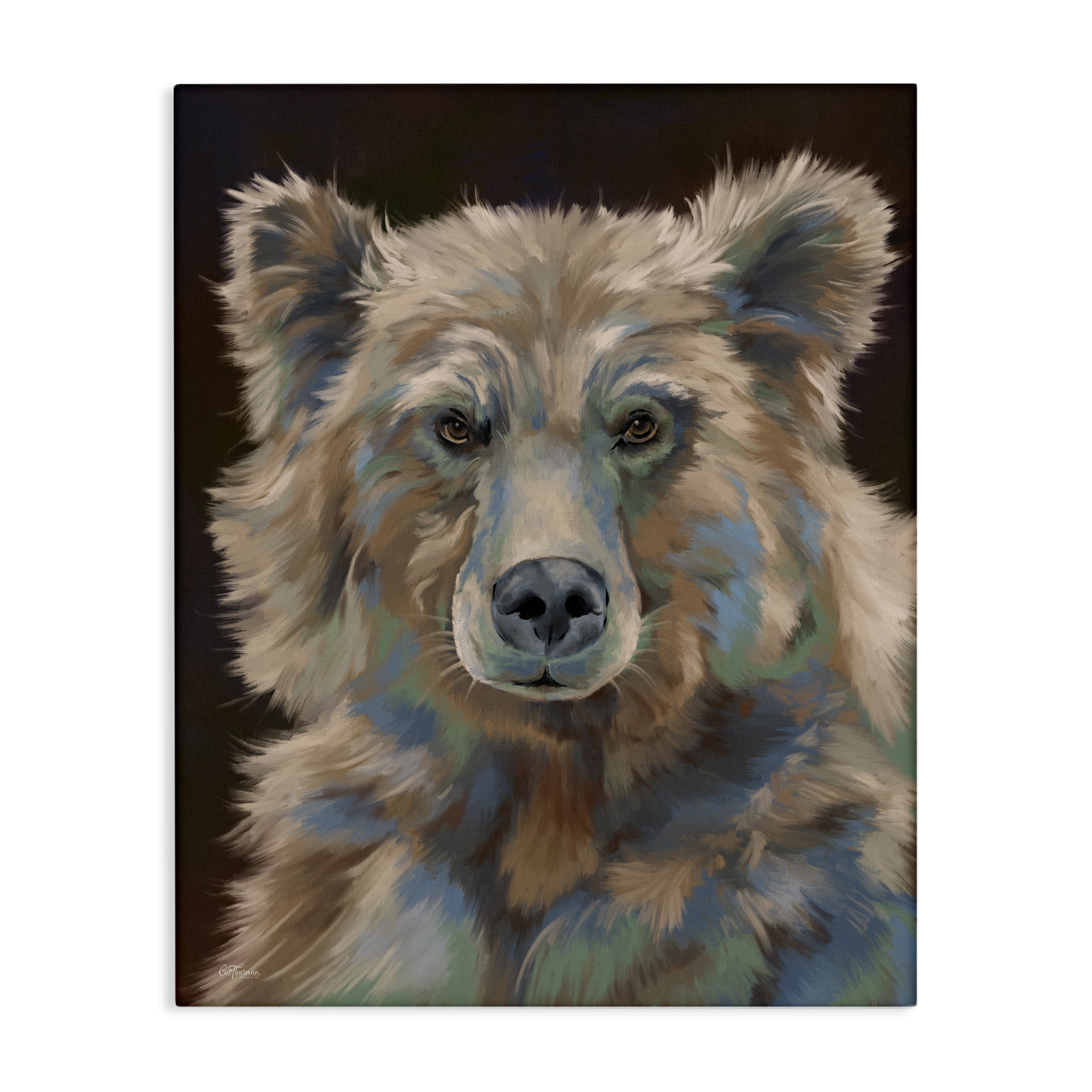 Stupell Industries Fluffy Bear Portrait Animals & Insects Painting Gallery Wrapped Canvas Art Print Wall Art, 24 x 30