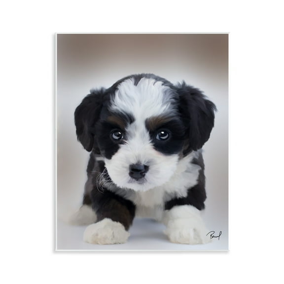 Stupell Industries Fluffy Bernedoodle Puppy Animals Painting Unframed Art Print Wall Art, 11 x 14