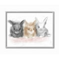 thumbnail image 1 of Stupell Industries Fluffy Bunnies Pink Brown Grey Animal Design Framed Wall Art by Daphne Polselli, 1 of 6