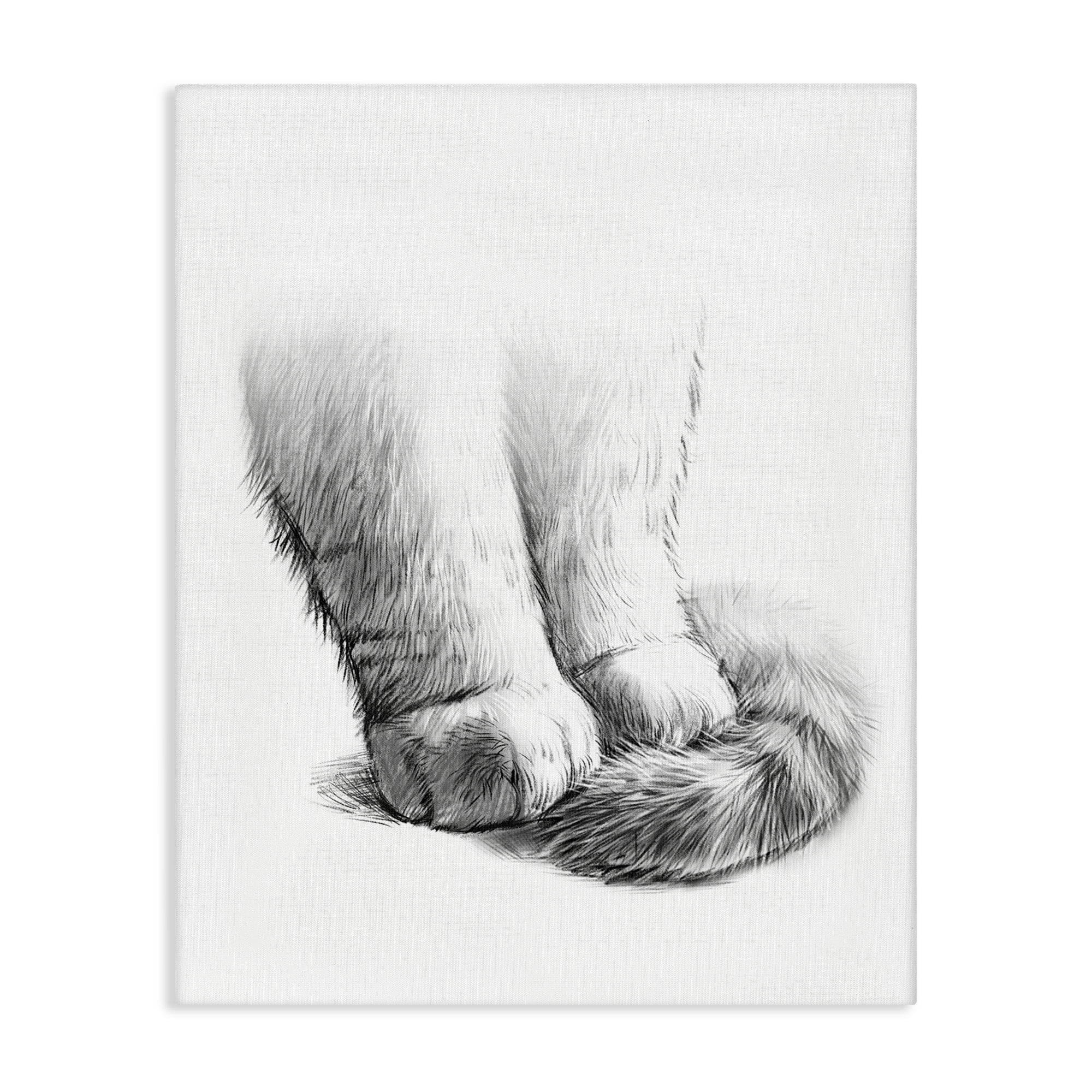 Stupell Industries Fluffy Cat Paws Tail Curled Monochrome Drawing Canvas Wall Art, 16 x 20, Design by Ziwei Li