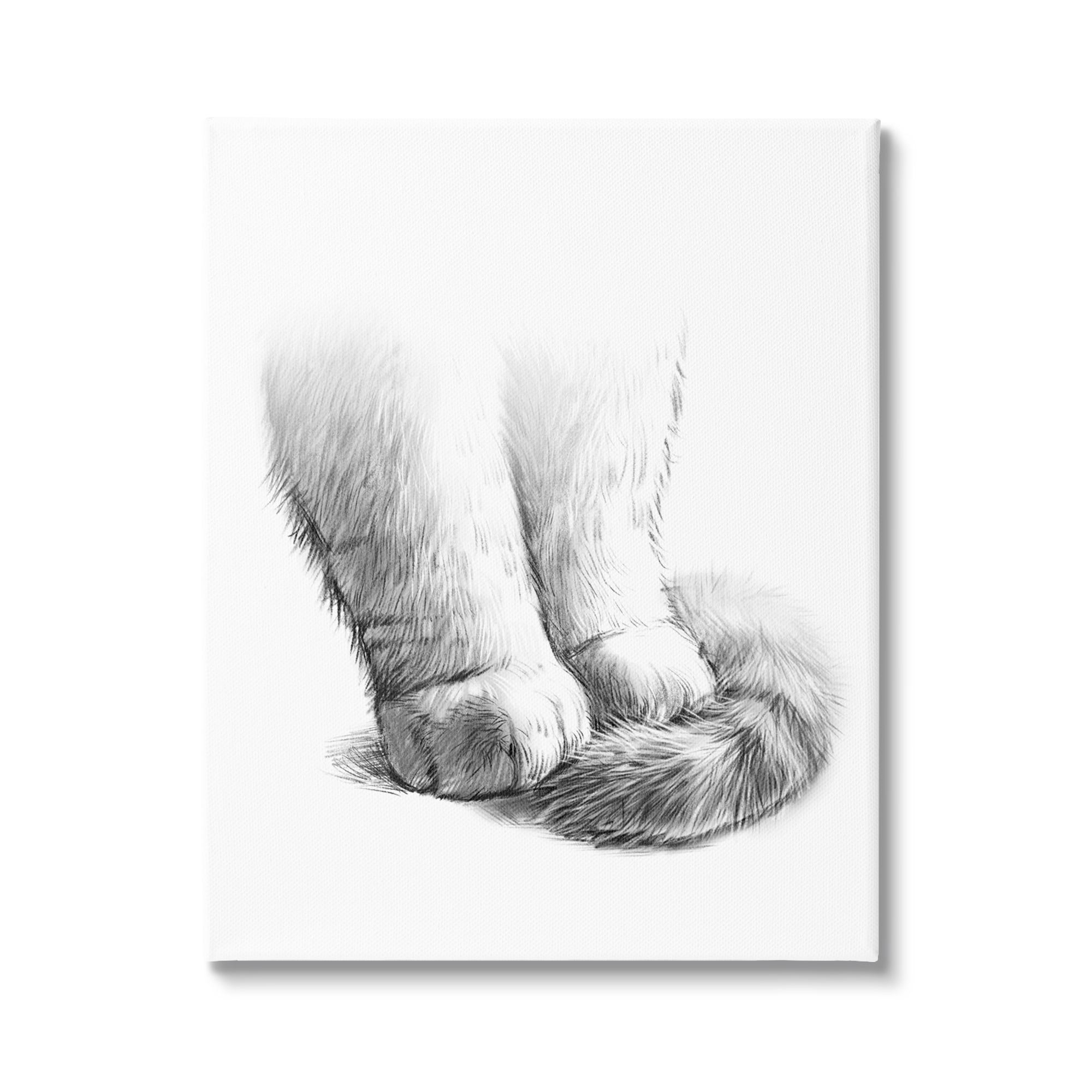 Stupell Industries Fluffy Cat Paws Tail Curled Monochrome Drawing Canvas Wall Art, 36 x 48, Design by Ziwei Li