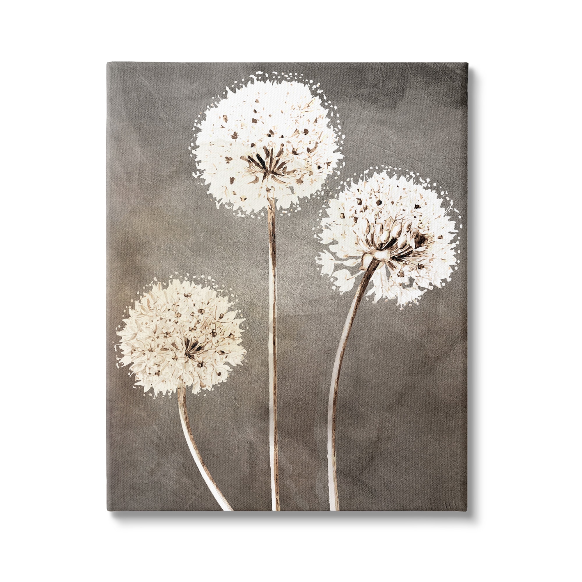 Stupell Industries Fluffy Dandelion Plants Wildflower Botanical Blooms Graphic Art Gallery Wrapped Canvas Print Wall Art, Design by Kim Allen