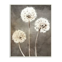Stupell Industries Fluffy Dandelion Plants Wildflower Botanical Blooms Graphic Art Unframed Art Print Wall Art, Design by Kim Allen