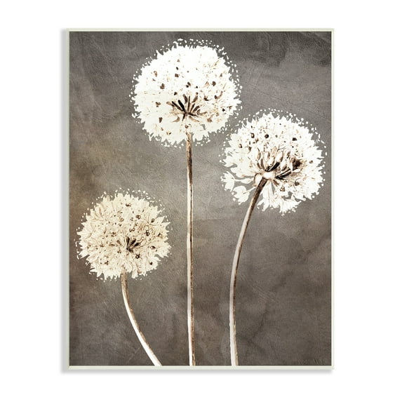 Stupell Industries Fluffy Dandelion Plants Wildflower Botanical Blooms Graphic Art Unframed Art Print Wall Art, Design by Kim Allen