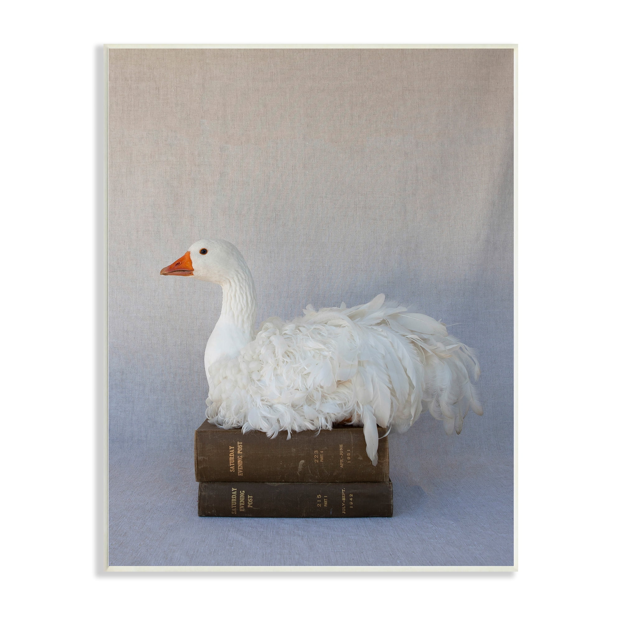 Stupell Industries Fluffy Goose Bookstack Bird Nesting Vintage Literature,13 x 19, Design by Tania Soderman