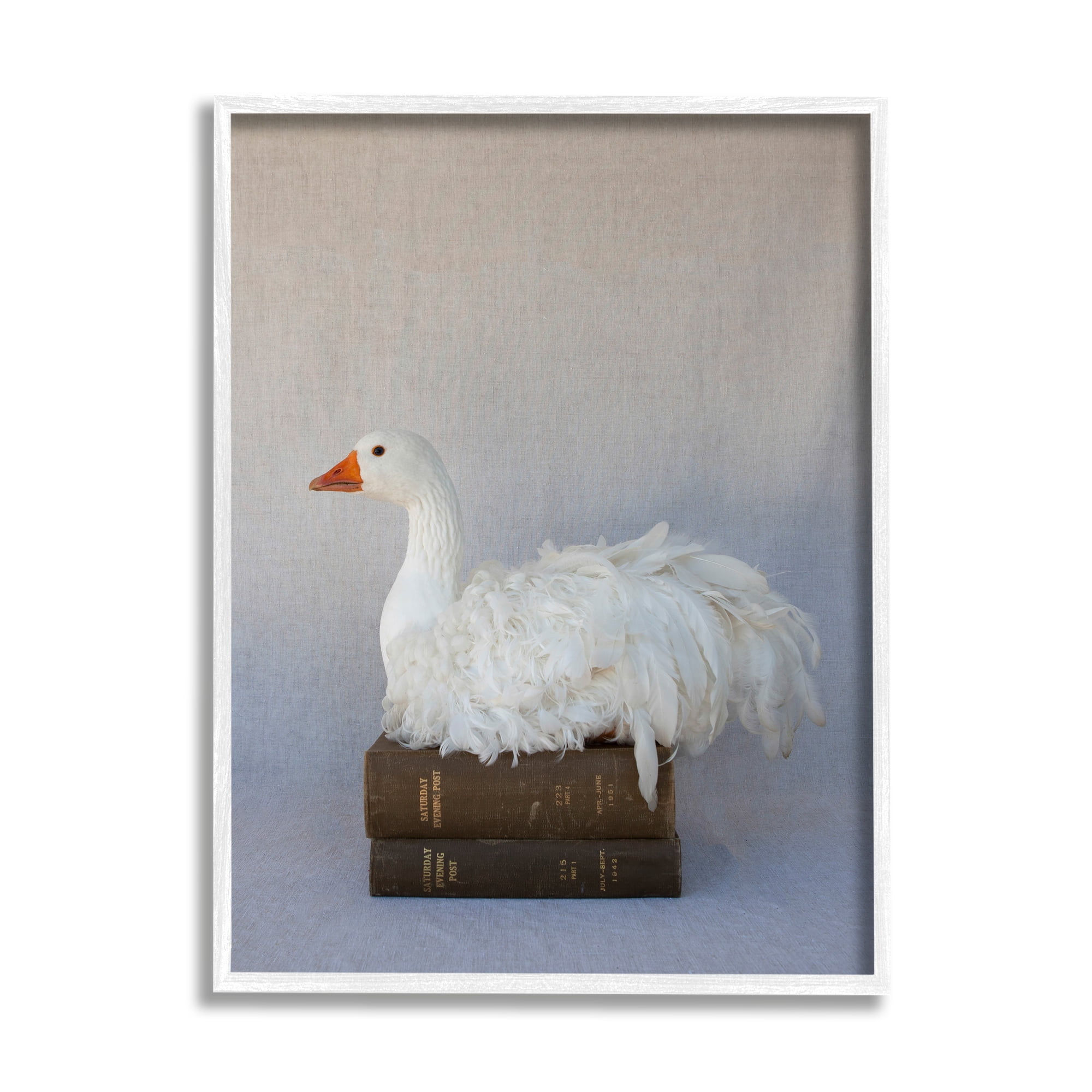 Stupell Industries Fluffy Goose Bookstack Bird Nesting Vintage Literature,16 x 20, Design by Tania Soderman