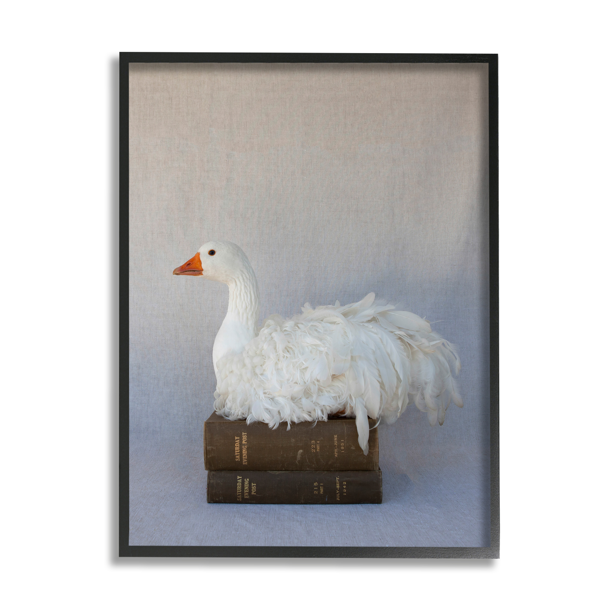 Stupell Industries Fluffy Goose Bookstack Bird Nesting Vintage Literature,16 x 20, Design by Tania Soderman