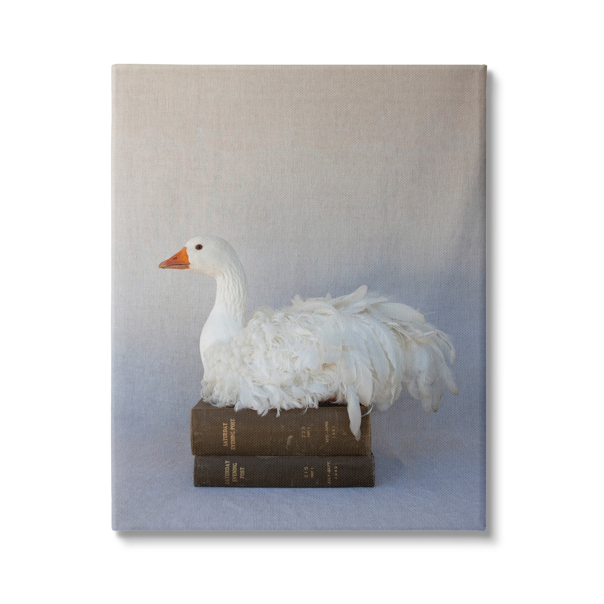 Stupell Industries Fluffy Goose Bookstack Bird Nesting Vintage Literature,24 x 30, Design by Tania Soderman