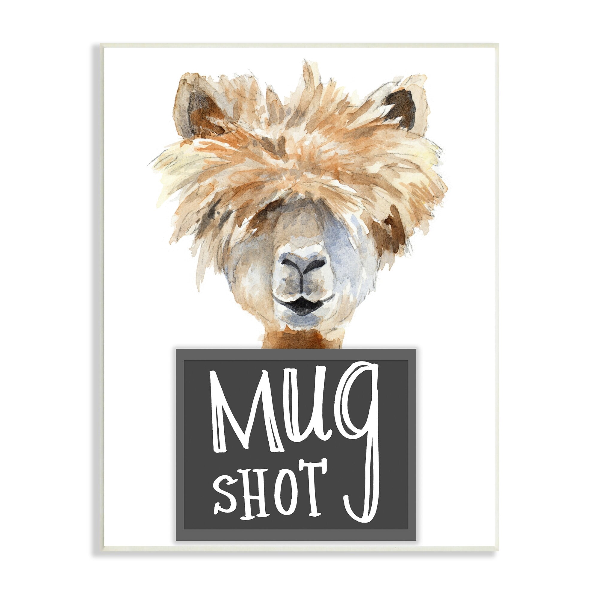 Stupell Industries Fluffy Hair Alpaca Animal Mugshot Funny Portrait, 13 x 19, Design by Lanie Loreth