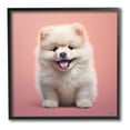thumbnail image 1 of Stupell Industries Fluffy Puppy on Pink Animals & Insects Painting Black Framed Art Print Wall Art, 24 x 24, 1 of 9