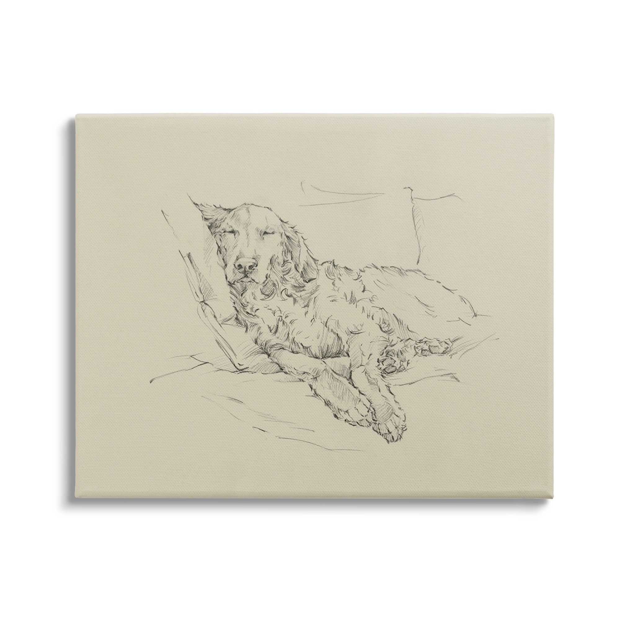 Stupell Industries Fluffy Retriever Napping Cushions Casual Monochromatic Dog Sketch,20 x 16, Design by Ethan Harper