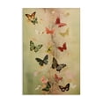 thumbnail image 1 of Stupell Industries Bohemian Fluttering Butterfly Array Canvas Art, 16 x 24, by Petals Prints Design, 1 of 8