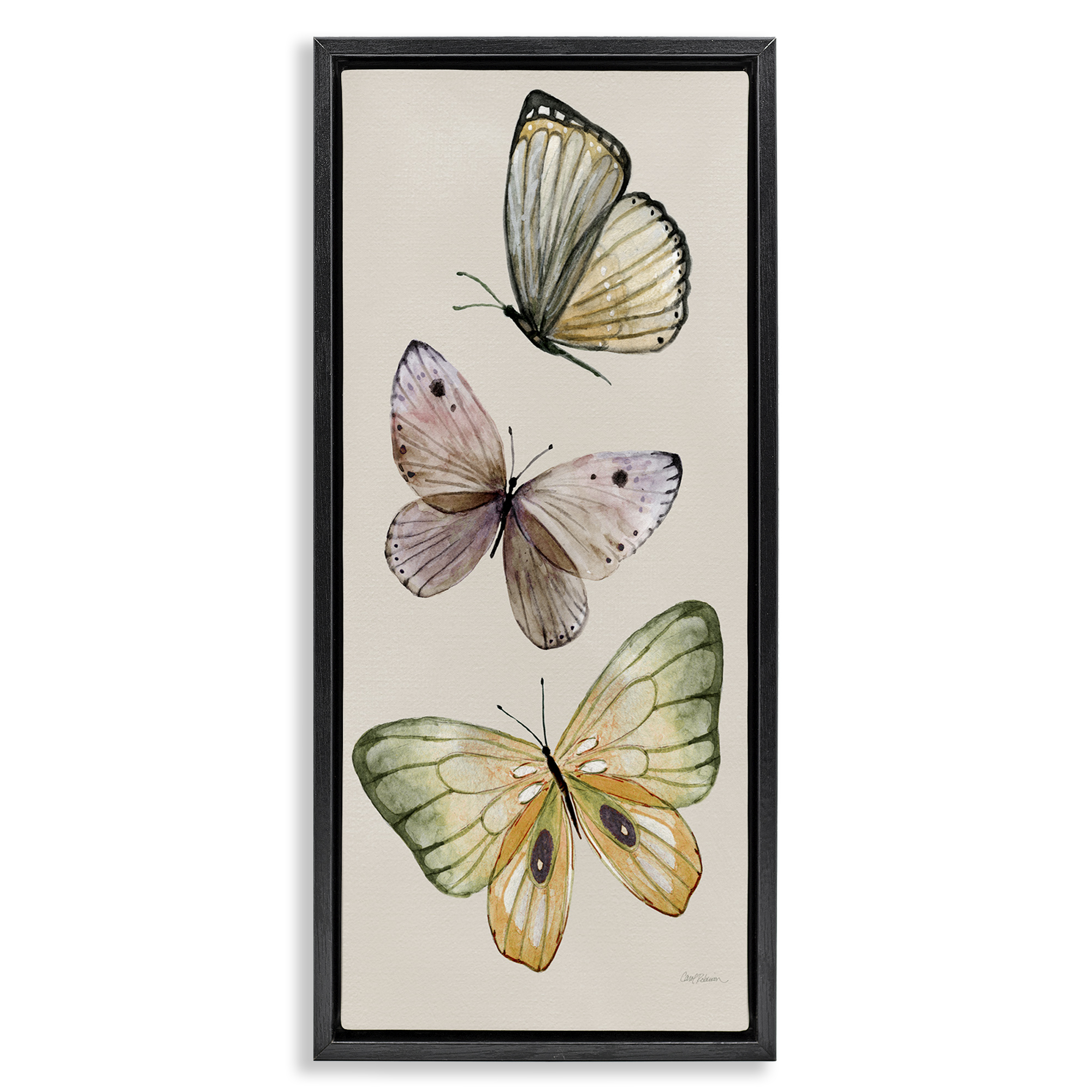 Stupell Industries Fluttering Butterfly Trio Animals & Insects Painting Black Floater Framed Canvas Art Print Wall Art, 15 x 31