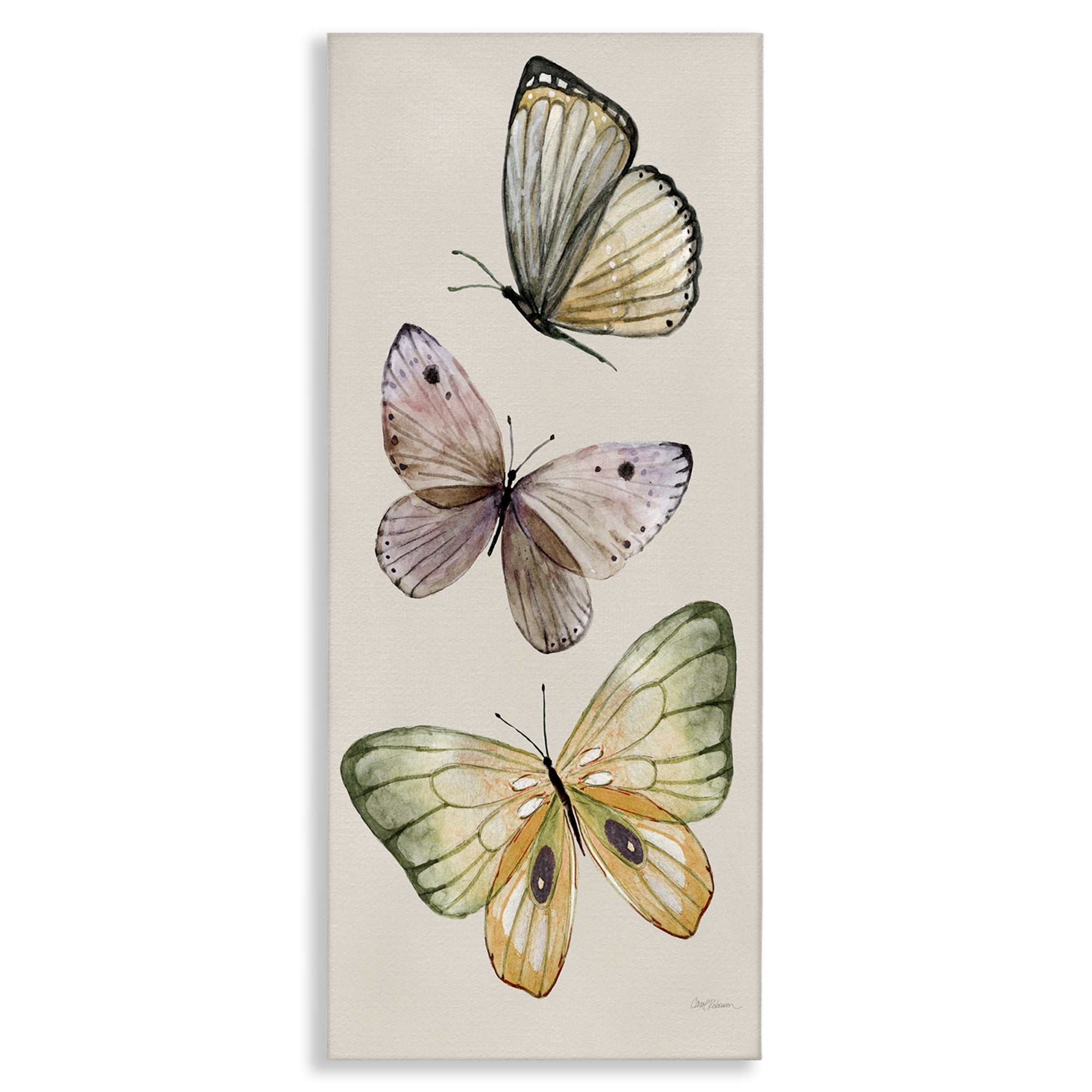 Stupell Industries Fluttering Butterfly Trio Animals & Insects Painting Gallery Wrapped Canvas Art Print Wall Art, 20 x 48