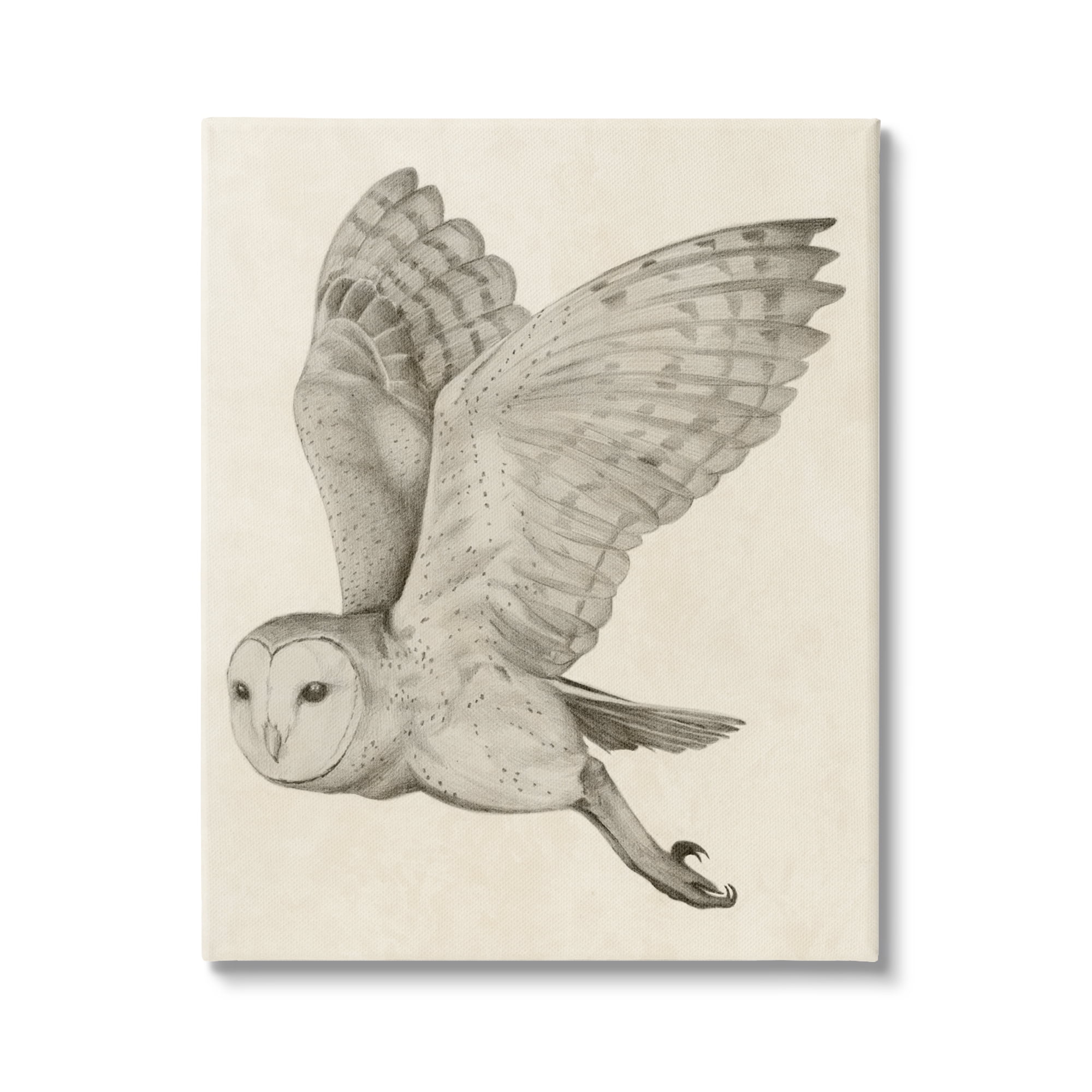 Stupell Industries Flying Barn Owl Wings Detailed Monochrome Drawing Canvas Wall Art, 16 x 20, Design by Grace Popp
