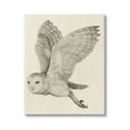 thumbnail image 1 of Stupell Industries Flying Barn Owl Wings Detailed Monochrome Drawing Canvas Wall Art, 24 x 30, Design by Grace Popp, 1 of 7
