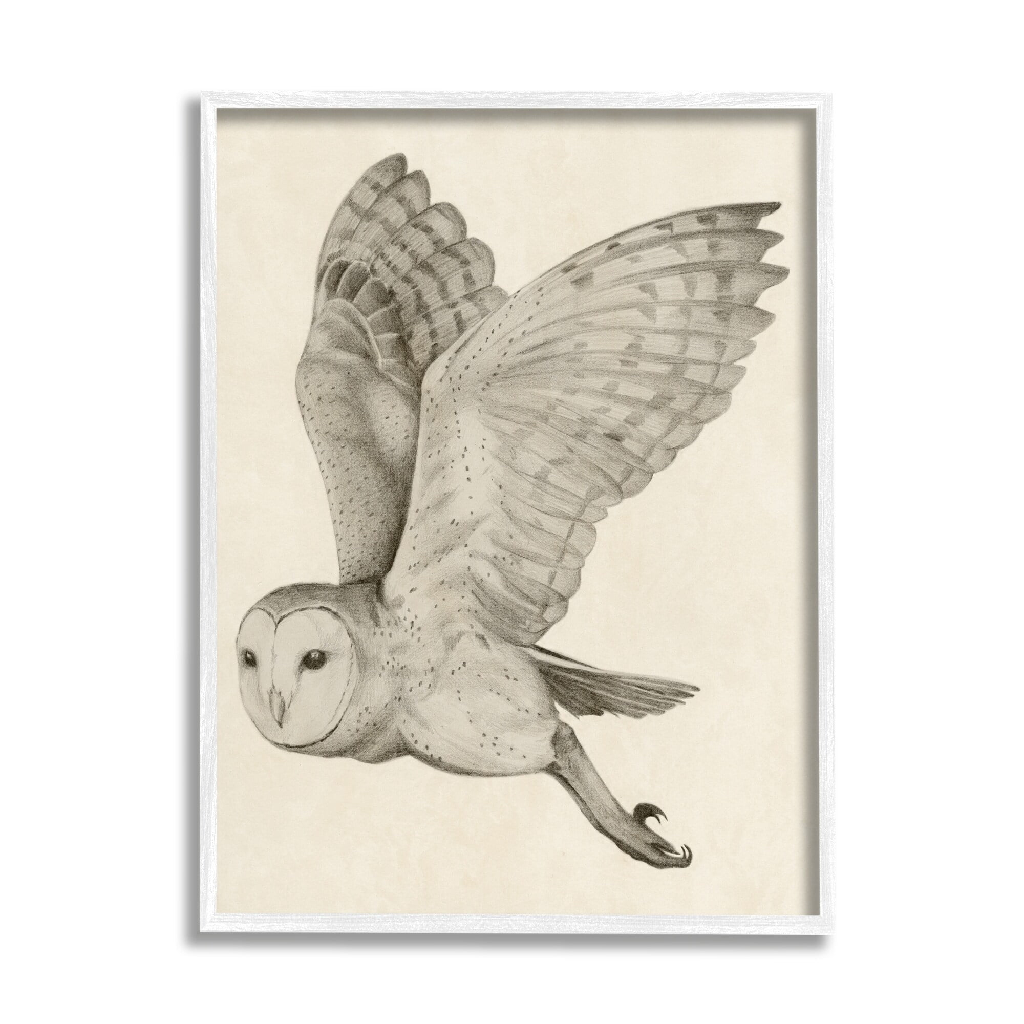 Stupell Industries Flying Barn Owl Wings Detailed Monochrome Drawing Framed Wall Art, 24 x 30, Design by Grace Popp