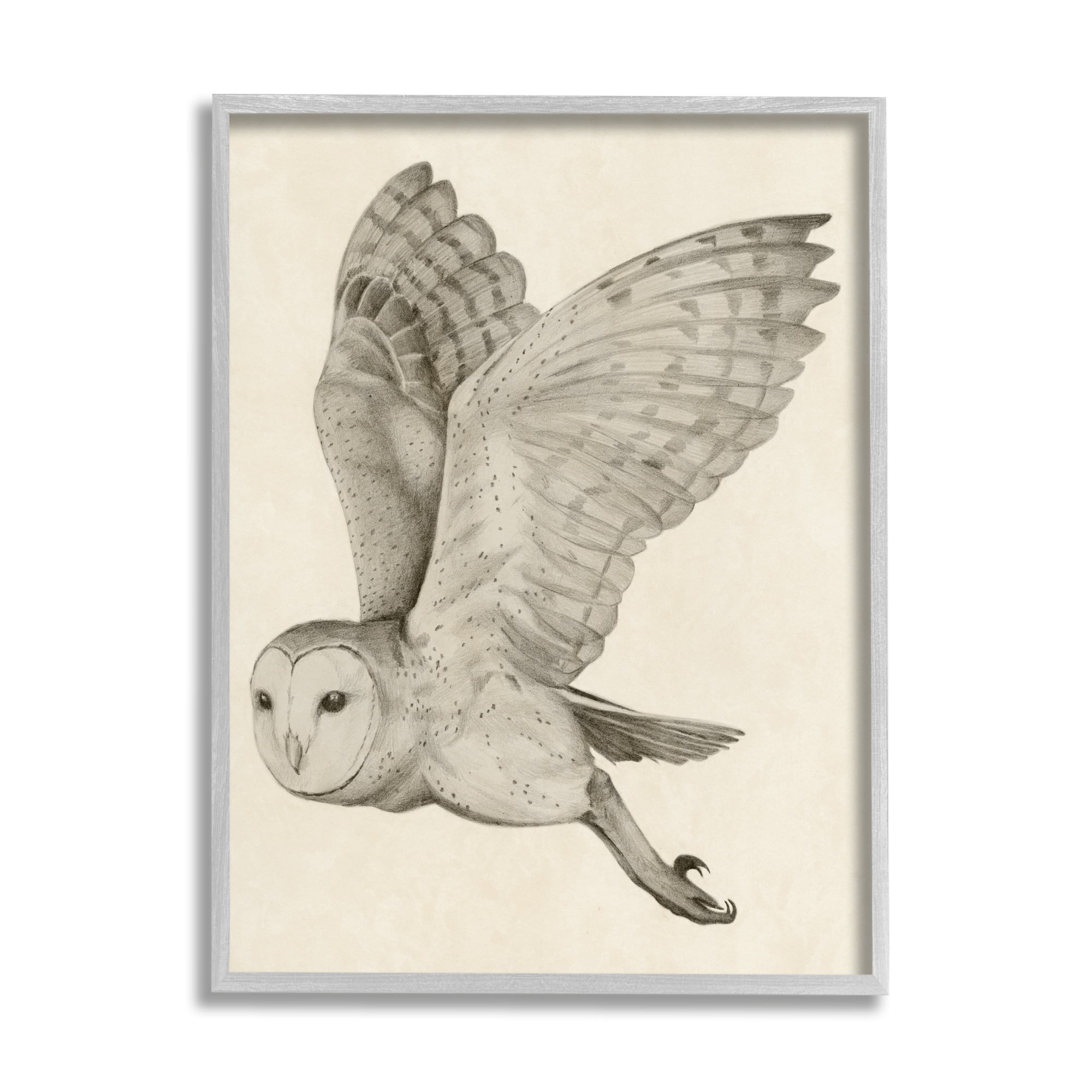 Stupell Industries Flying Barn Owl Wings Detailed Monochrome Drawing Framed Wall Art, 24 x 30, Design by Grace Popp