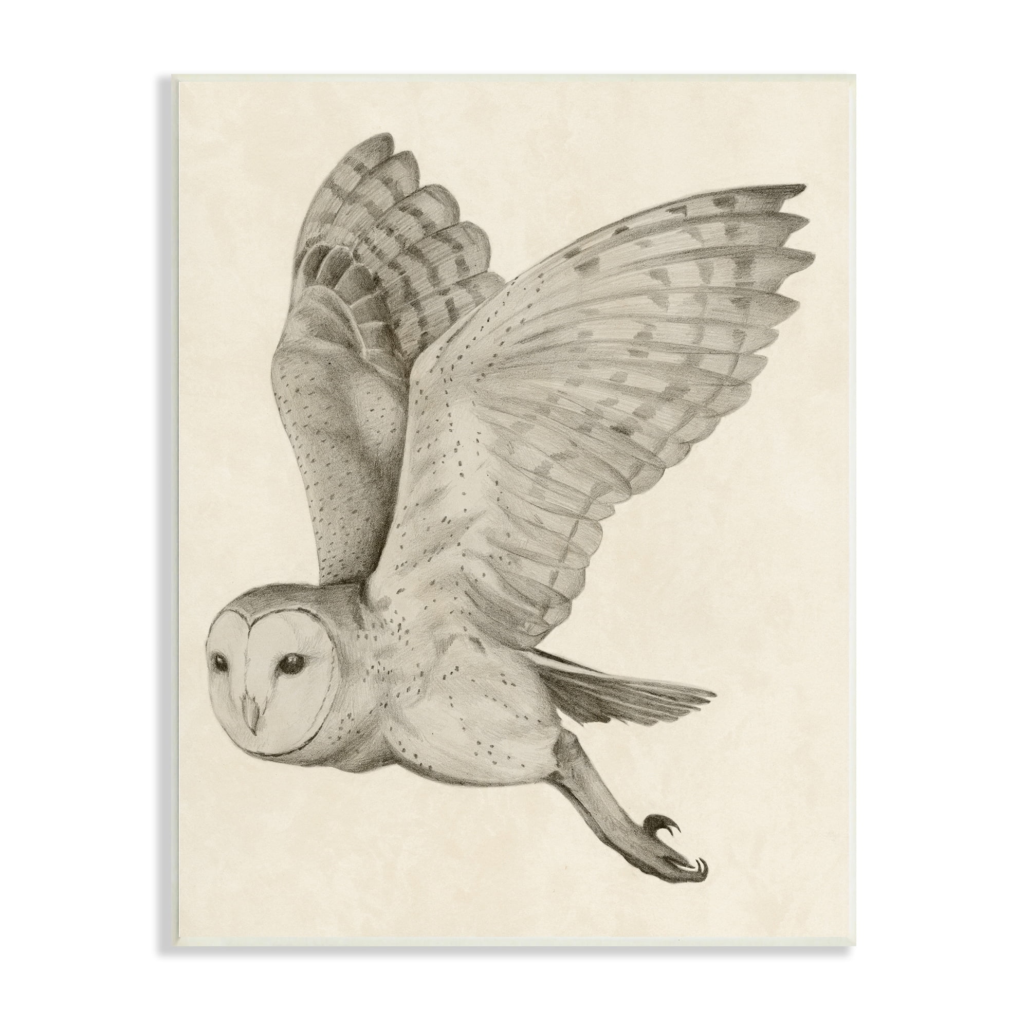 Stupell Industries Flying Barn Owl Wings Detailed Monochrome Drawing Wood Wall Art, 10 x 15, Design by Grace Popp