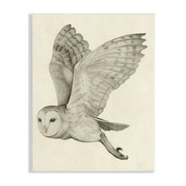 Stupell Industries Flying Barn Owl Wings Detailed Monochrome Drawing Wood Wall Art, 10 x 15, Design by Grace Popp