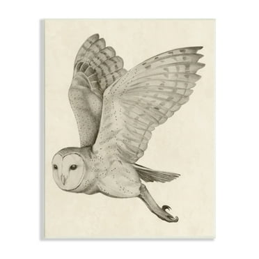 Stupell Industries Flying Barn Owl Wings Detailed Monochrome Drawing Wood Wall Art, 10 x 15, Design by Grace Popp