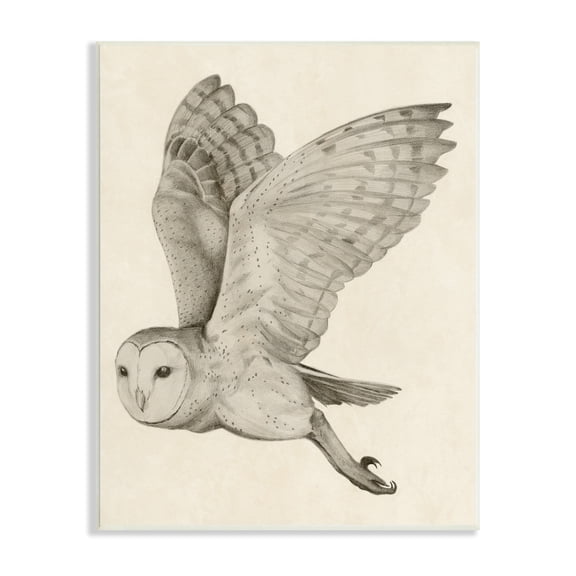 Stupell Industries Flying Barn Owl Wings Detailed Monochrome Drawing Wood Wall Art, 10 x 15, Design by Grace Popp