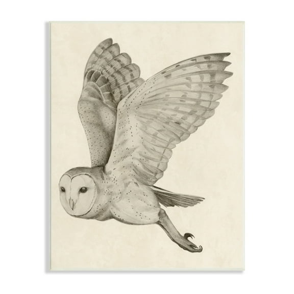 Stupell Industries Flying Barn Owl Wings Detailed Monochrome Drawing Wood Wall Art, 13 x 19, Design by Grace Popp