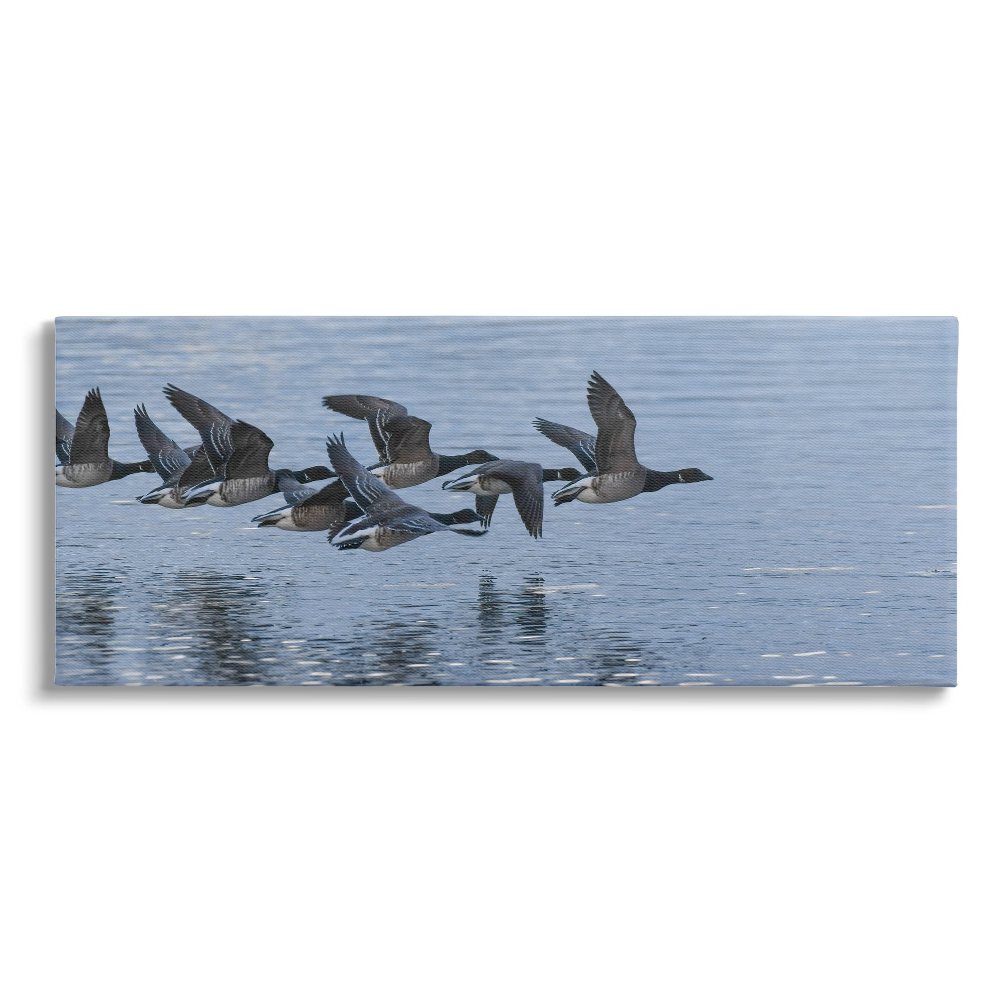 Stupell Industries Flying Geese Wings Flapping Calm Ocean Water Canvas Wall Art, 40 x 17, Design by Amy Brinkman