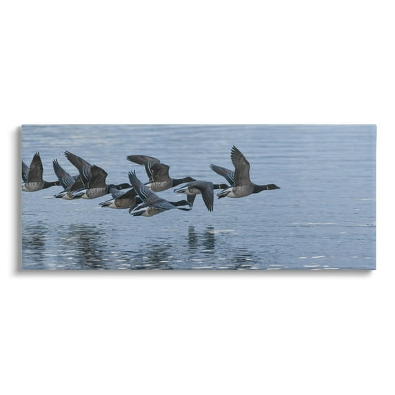 Stupell Industries Flying Geese Wings Flapping Calm Ocean Water Canvas Wall Art, 48 x 20, Design by Amy Brinkman