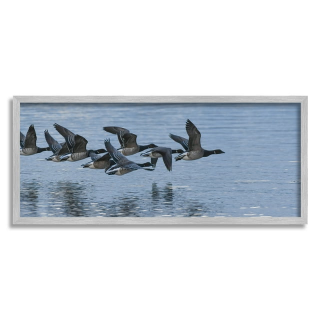 Stupell Industries Flying Geese Wings Flapping Calm Ocean Water Framed Wall Art, 30 x 13, Design by Amy Brinkman