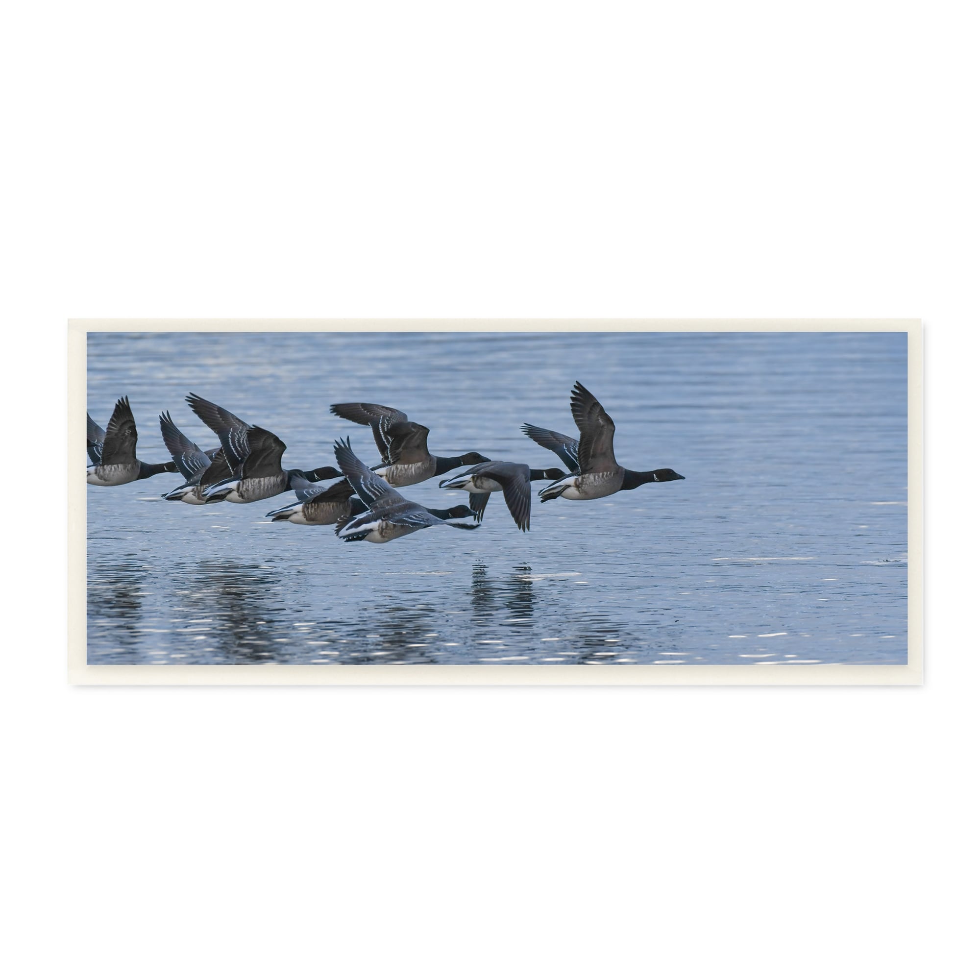 Stupell Industries Flying Geese Wings Flapping Calm Ocean Water Wood Wall Art, 17 x 7, Design by Amy Brinkman