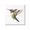 thumbnail image 1 of Stupell Industries Flying Hummingbird Wings Hovering Casual Painting Graphic Art Gallery Wrapped Canvas Print Wall Art, Design by Studio Q, 1 of 5