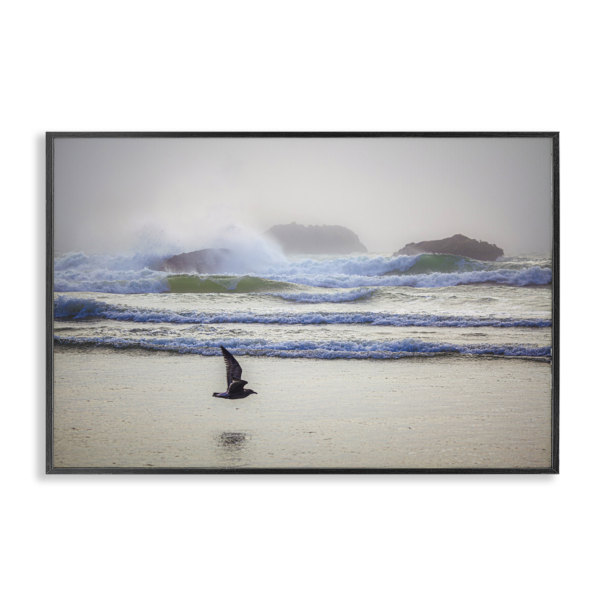 Stupell Industries Flying Low over Shore Landscape & Nature Photography Black Framed Art Print Wall Art, 18 x 12