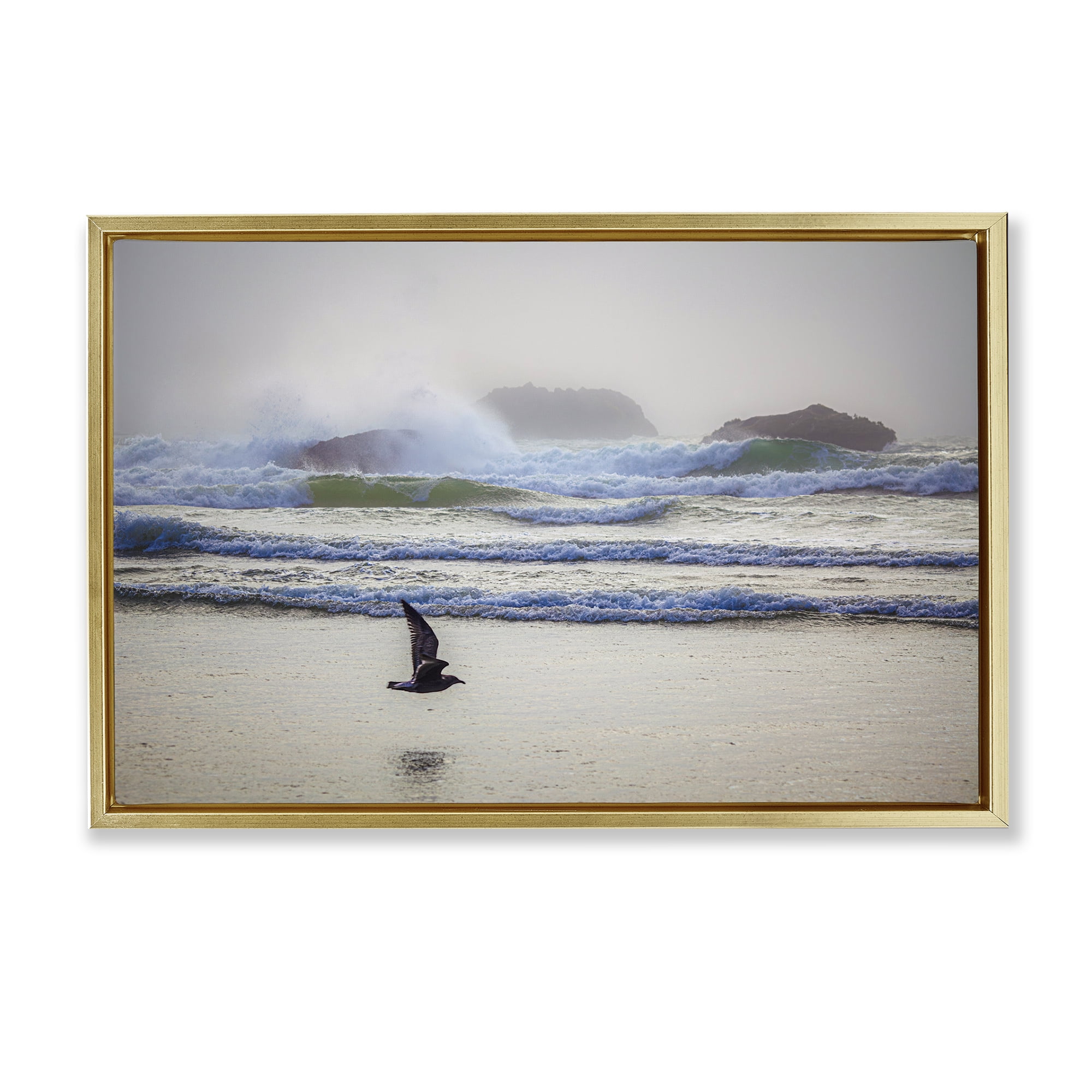 Stupell Industries Flying Low over Shore Landscape & Nature Photography Gold Floater Framed Canvas Art Print Wall Art, 31 x 21