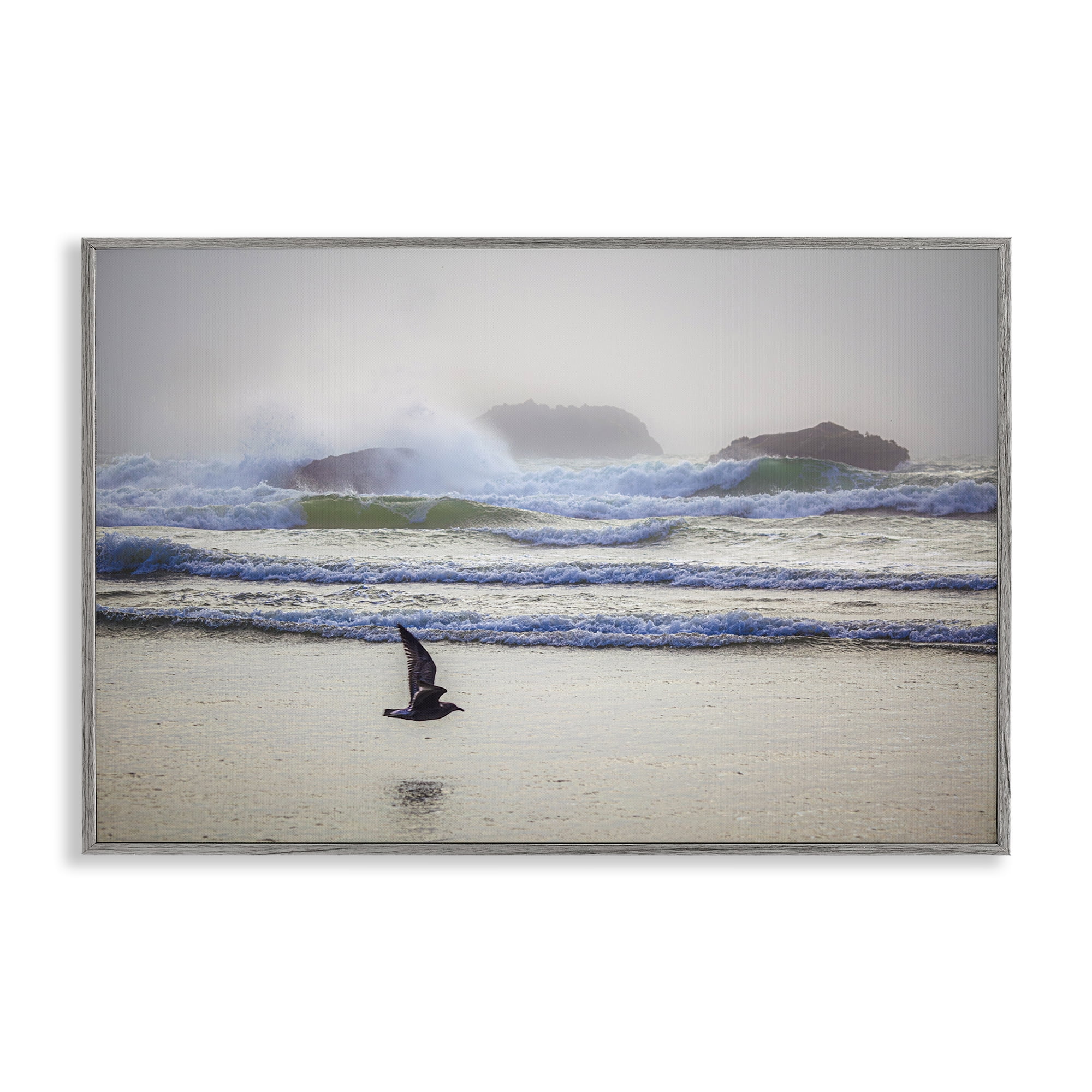 Stupell Industries Flying Low over Shore Landscape & Nature Photography Gray Framed Art Print Wall Art, 18 x 12