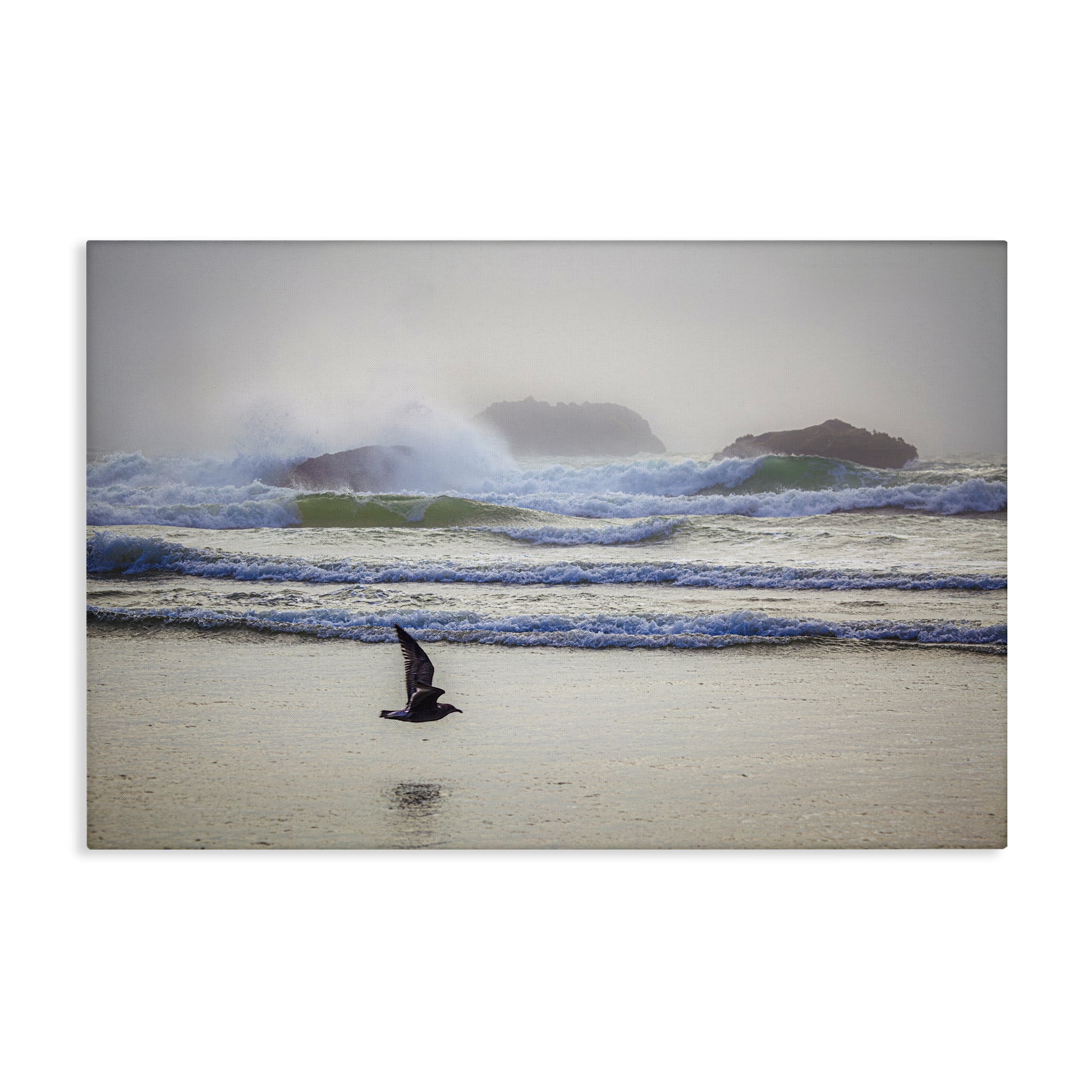 Stupell Industries Flying Low over Shore Landscape & Nature Photography Wrapped Canvas Art Print Wall Art, 30 x 20