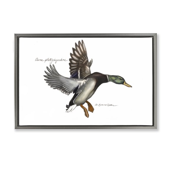 Stupell Industries Flying Mallard Duck Animals & Insects Painting Gray Floater Framed Canvas Art Print Wall Art, 25 x 17
