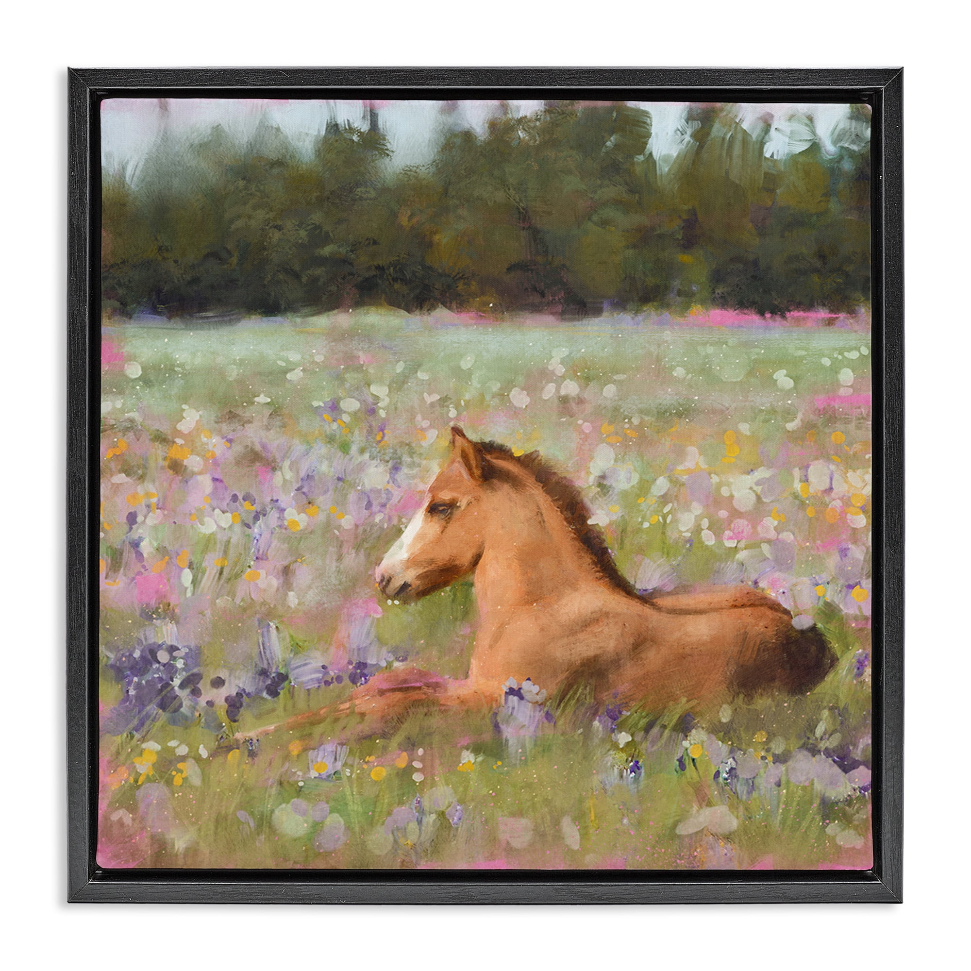 Stupell Industries Foal Horse Lounging Flower Meadow Animals & Insects Painting Black Floater Framed Canvas Art Print Wall Art, 25 x 25