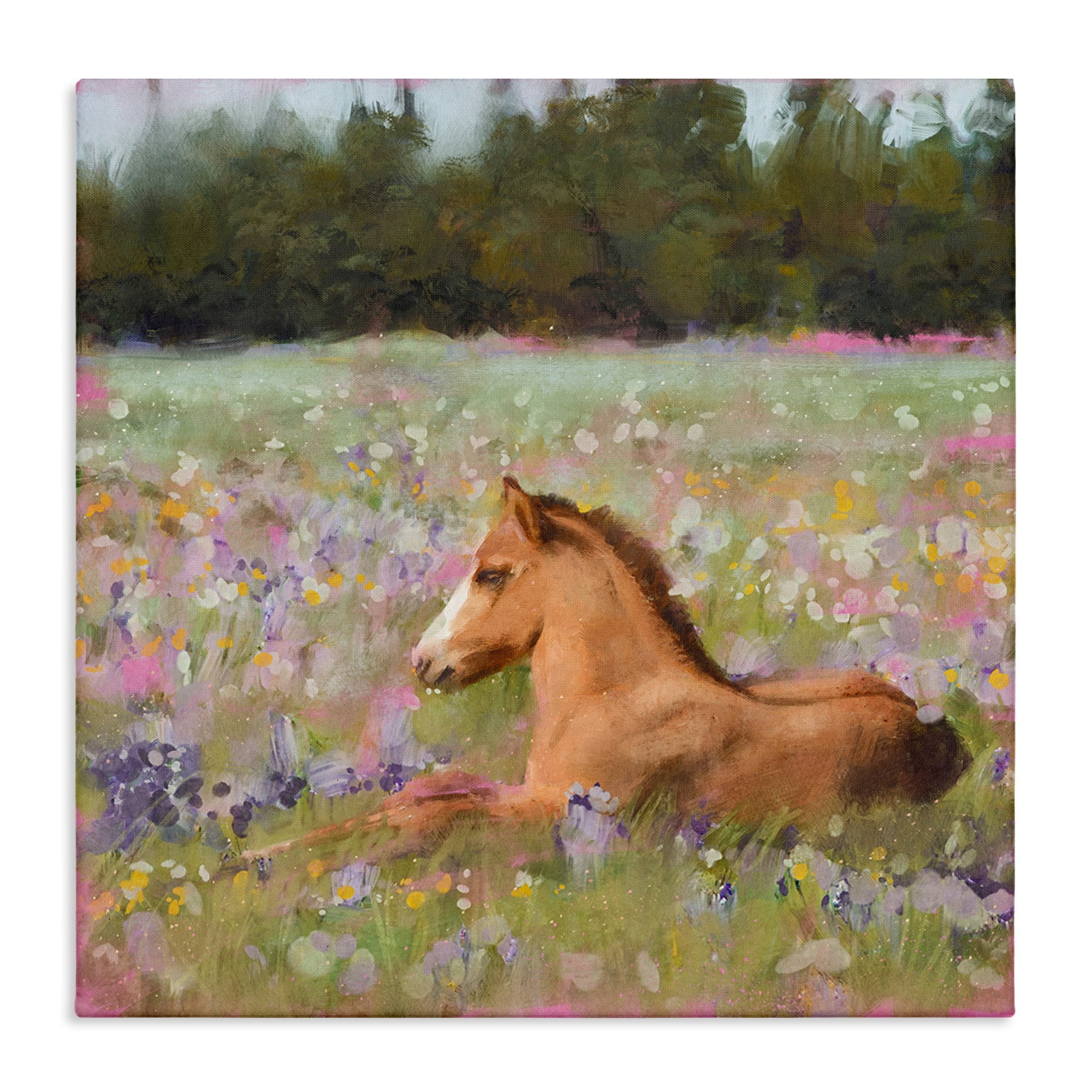 Foal Horse Lounging in Flower Meadow Canvas Art