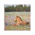 thumbnail image 1 of Stupell Industries Foal Horse Lounging Flower Meadow Animals & Insects Painting Unframed Art Print Wall Art, 1 of 6