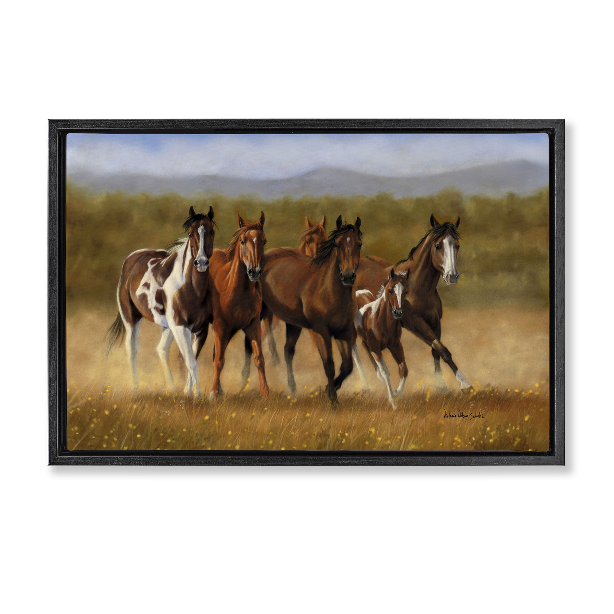 Stupell Industries Foal's First Run Animals & Insects Painting Black Floater Framed Canvas Art Print Wall Art, 31 x 21