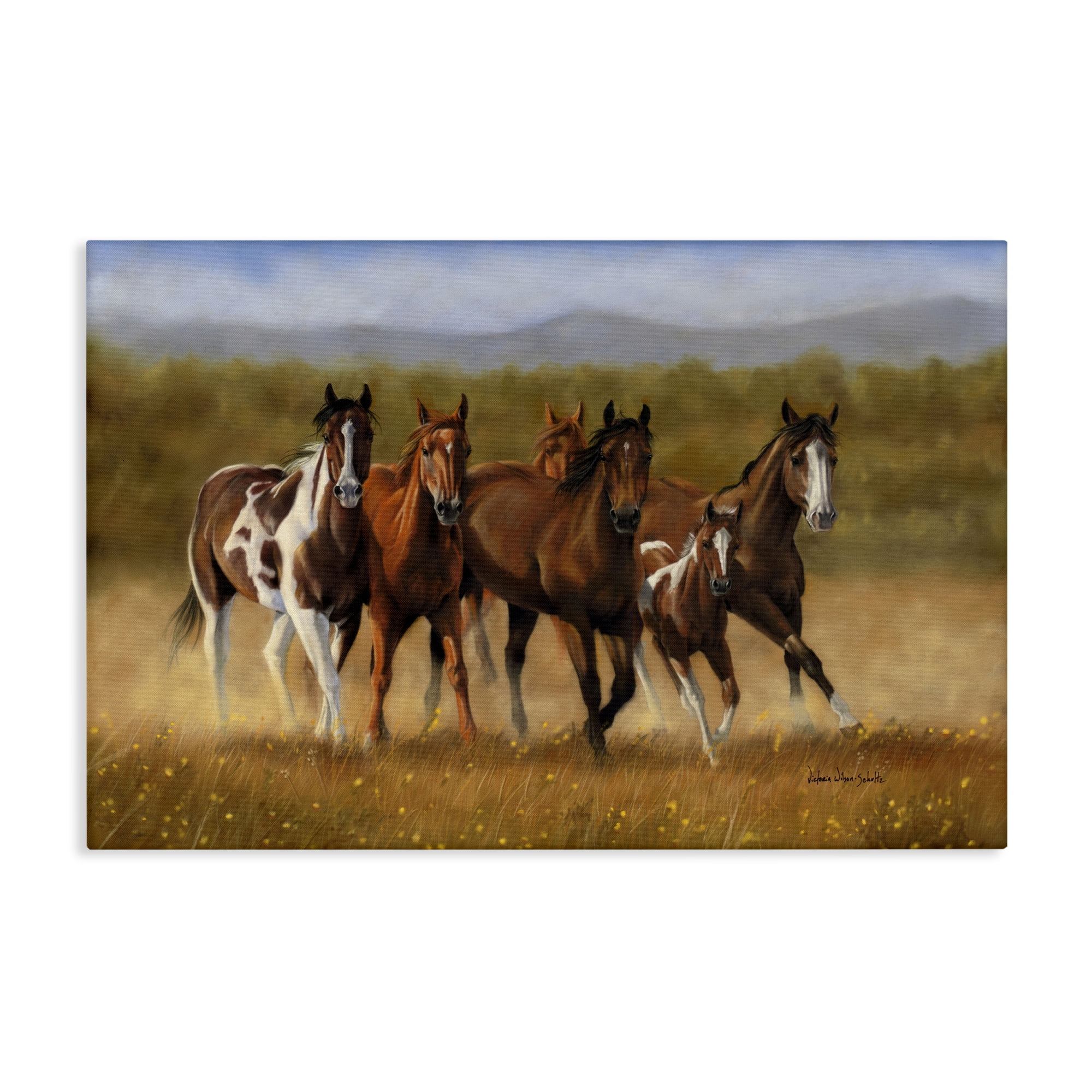 Stupell Industries Foal's First Run Animals & Insects Painting Gallery Wrapped Canvas Art Print Wall Art, 45 x 30