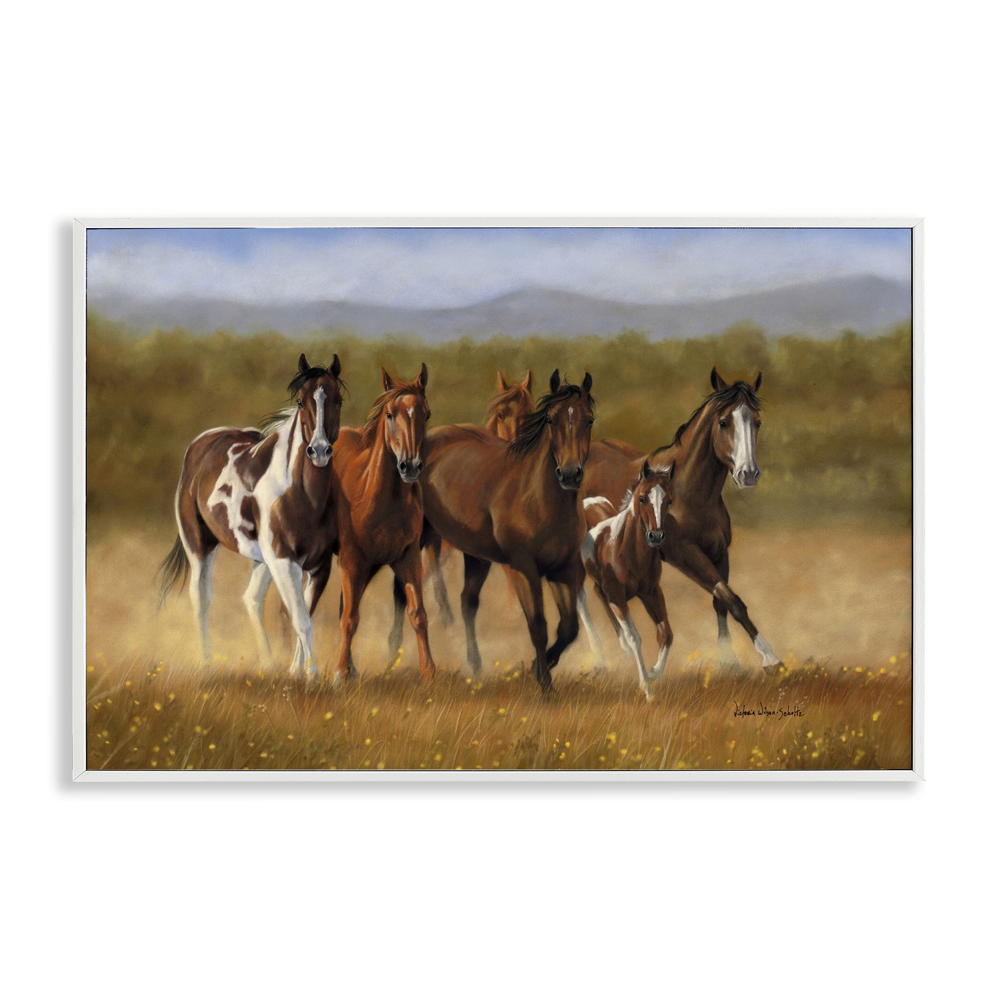 Stupell Industries Foal's First Run Animals & Insects Painting White Framed Art Print Wall Art, 24 x 16